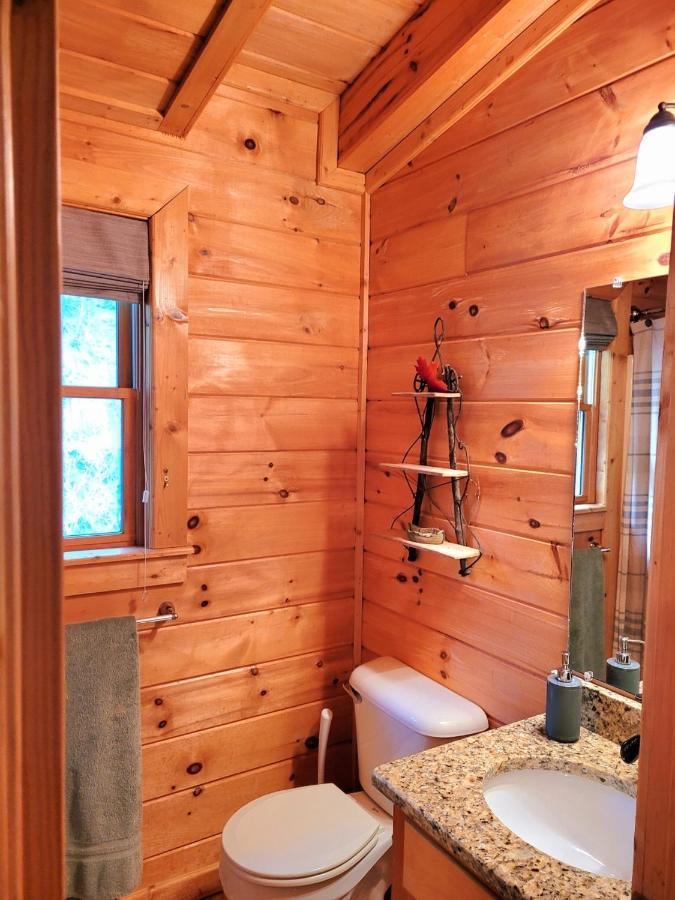 Luxury Cabin With Waterview And Privacy, Hiking Blue Ridge Zewnętrze zdjęcie