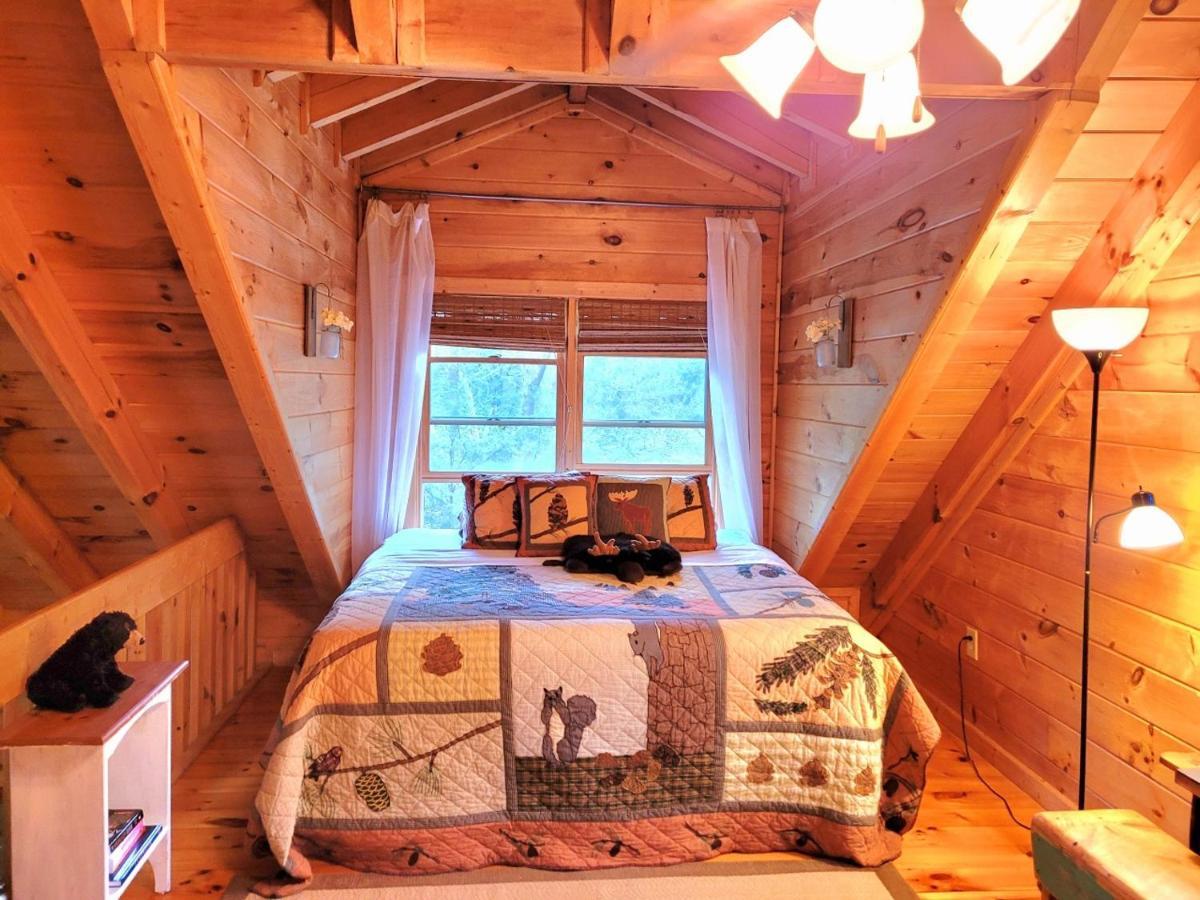 Luxury Cabin With Waterview And Privacy, Hiking Blue Ridge Zewnętrze zdjęcie
