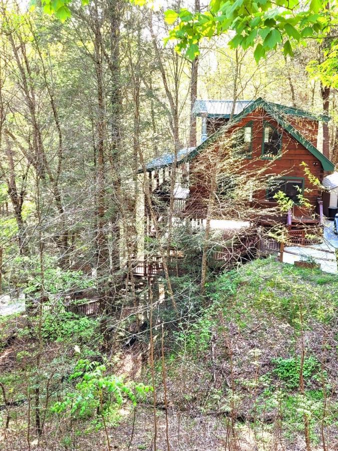 Luxury Cabin With Waterview And Privacy, Hiking Blue Ridge Zewnętrze zdjęcie